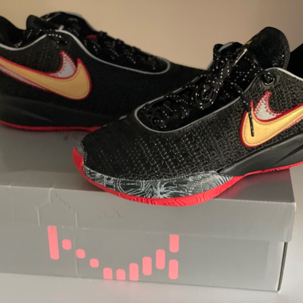 Lebron XX Nike basketball sneaker shoe size 4.5 youth new in box never worn
